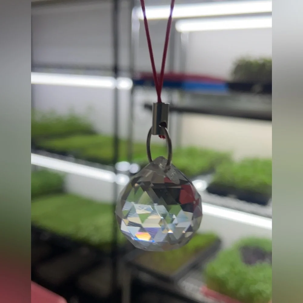 Glass Ball Prisms Suncatcher/Rainbows! - Picture 3 of 4